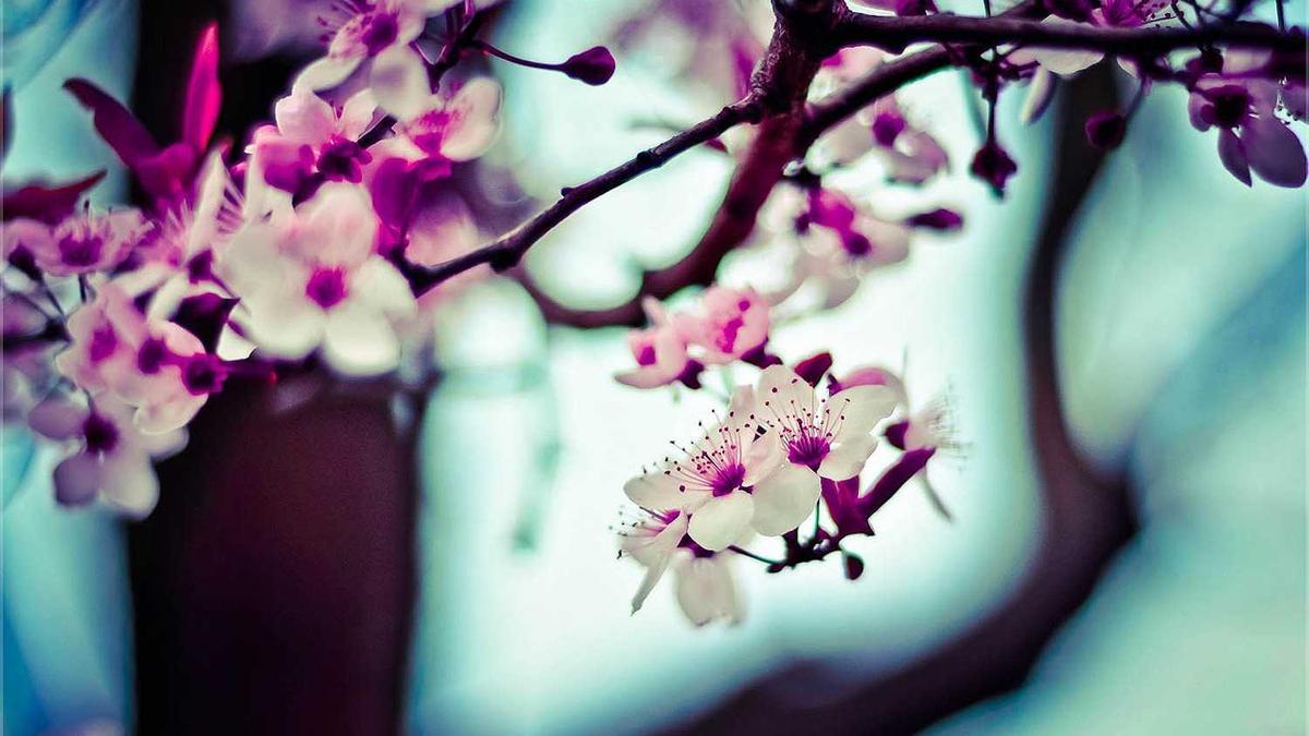 Symbolbild zum Thema LKW Flip Batman