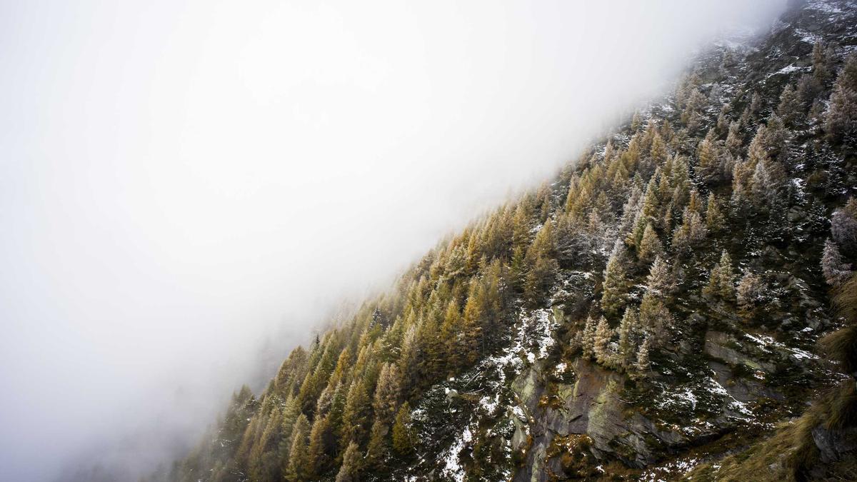 Illustration zu Militär Krankenkasse Wechseln
