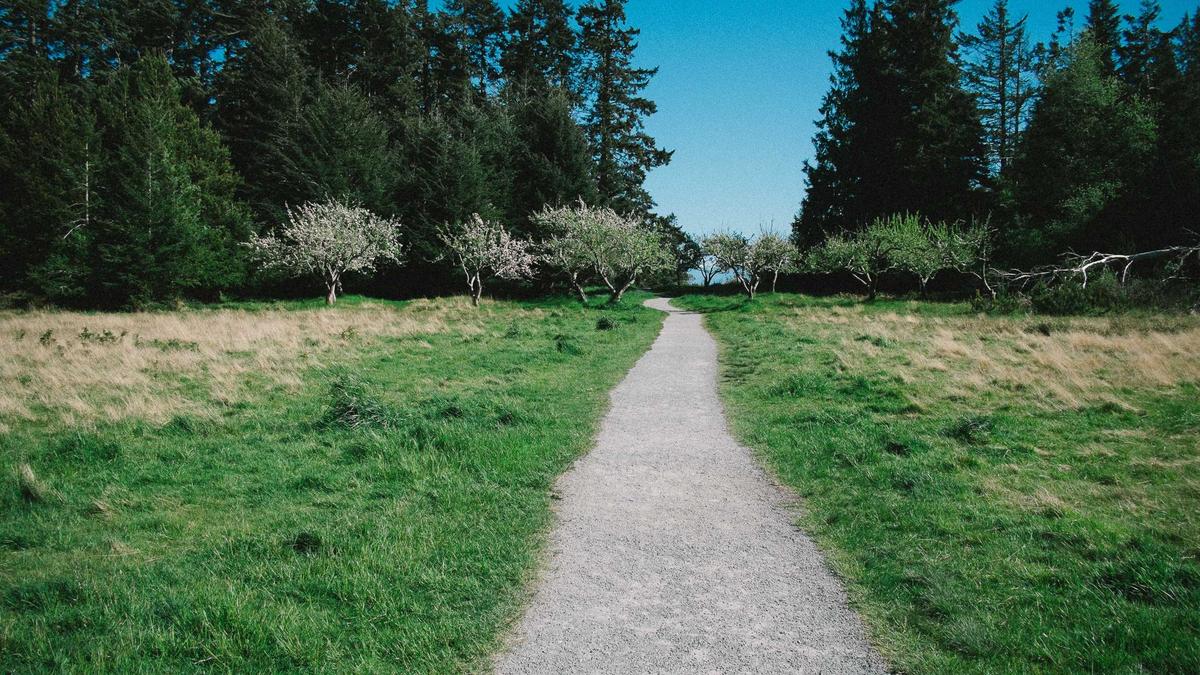 ökk Krankenkasse Symbolbild zum Thema ökk Krankenkasse