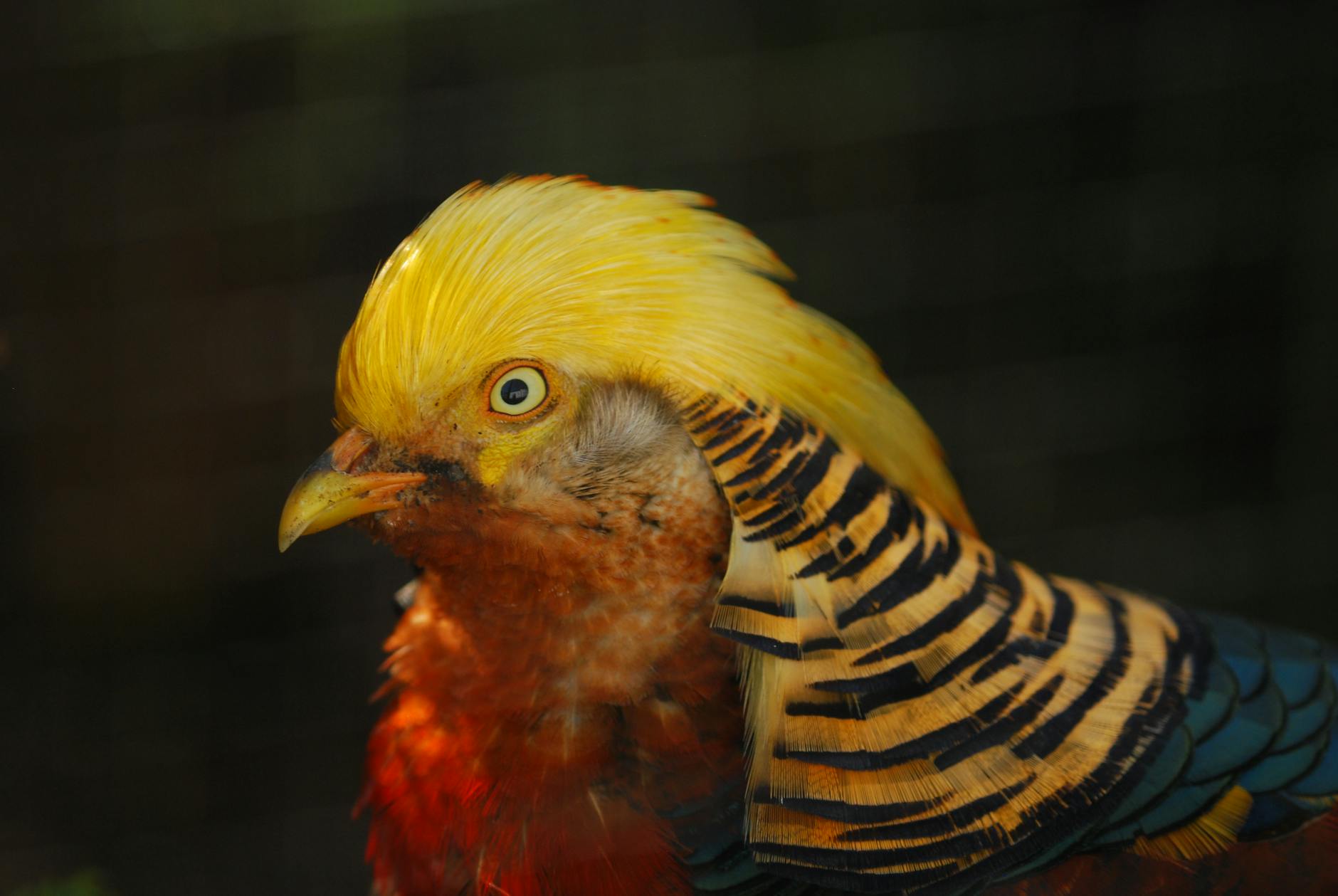 Detailansicht: Pfusch Arzt Schweiz