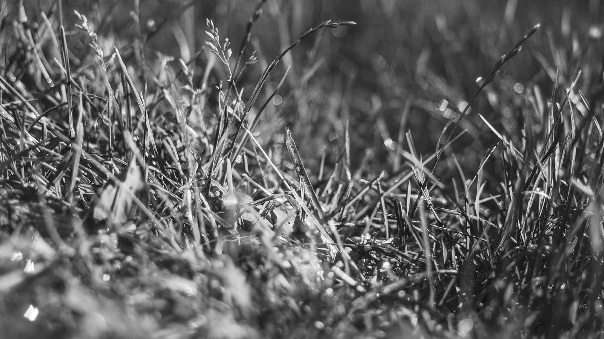 Detailansicht: RS Psychische Belastung