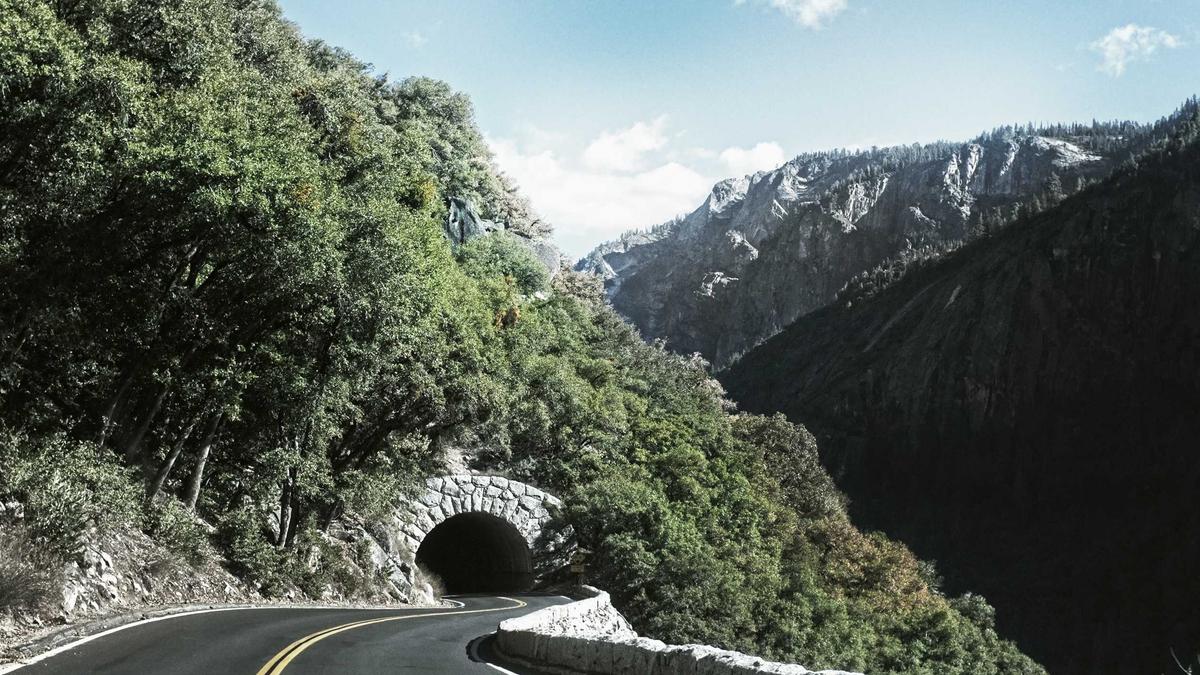 Detailansicht: Sinkende Krebssterblichkeit