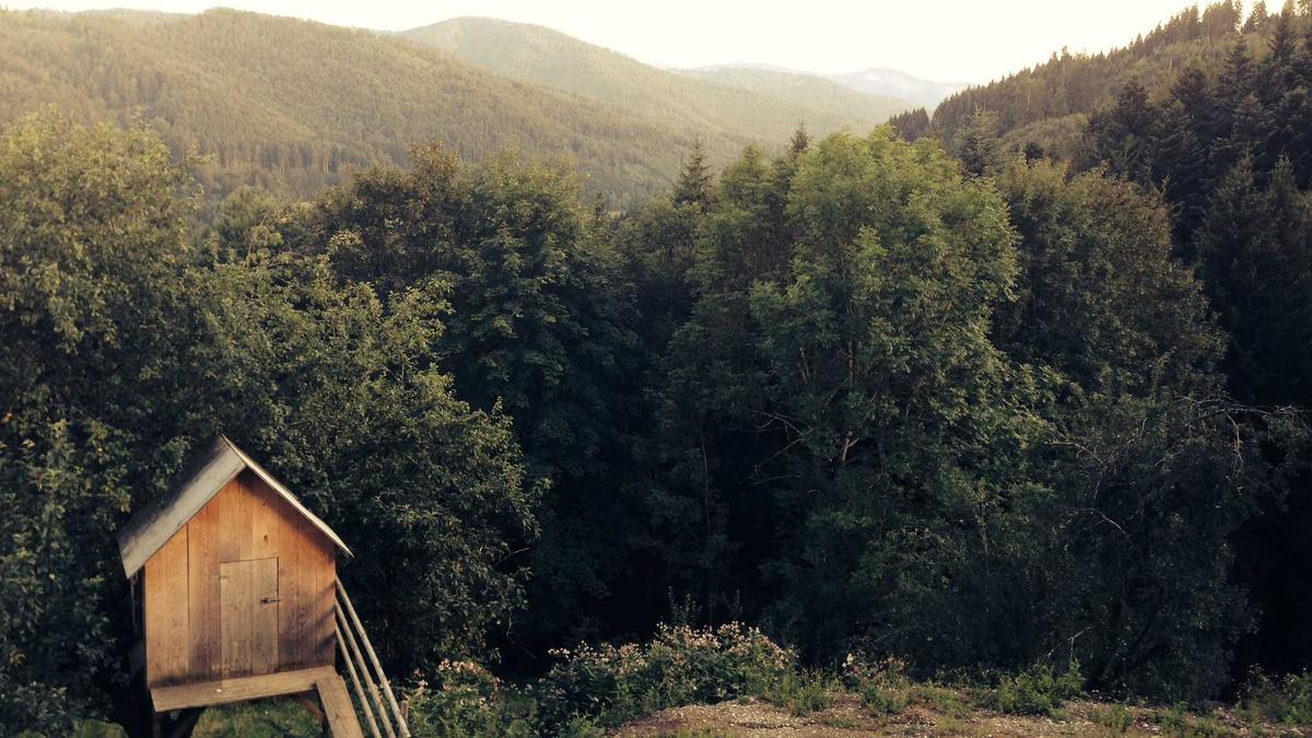 Illustration zu Yoga Gesundheit